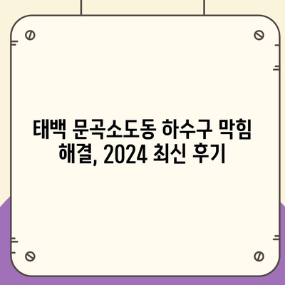 강원도 태백시 문곡소도동 하수구막힘 | 가격 | 비용 | 기름제거 | 싱크대 | 변기 | 세면대 | 역류 | 냄새차단 | 2024 후기