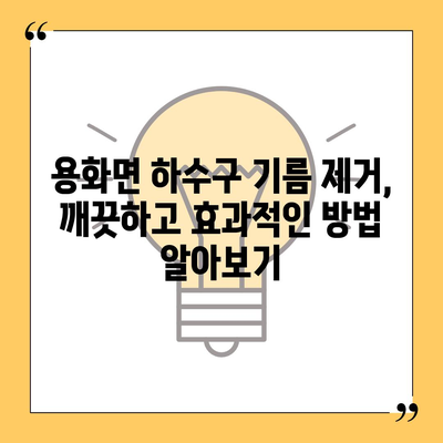 충청북도 영동군 용화면 하수구막힘 | 가격 | 비용 | 기름제거 | 싱크대 | 변기 | 세면대 | 역류 | 냄새차단 | 2024 후기