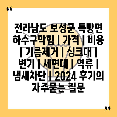 전라남도 보성군 득량면 하수구막힘 | 가격 | 비용 | 기름제거 | 싱크대 | 변기 | 세면대 | 역류 | 냄새차단 | 2024 후기