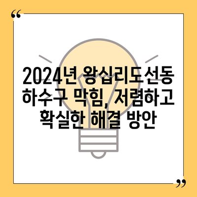 서울시 성동구 왕십리도선동 하수구막힘 | 가격 | 비용 | 기름제거 | 싱크대 | 변기 | 세면대 | 역류 | 냄새차단 | 2024 후기