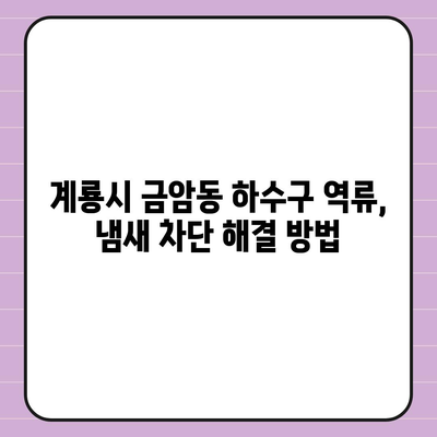 충청남도 계룡시 금암동 하수구막힘 | 가격 | 비용 | 기름제거 | 싱크대 | 변기 | 세면대 | 역류 | 냄새차단 | 2024 후기