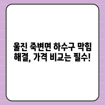 경상북도 울진군 죽변면 하수구막힘 | 가격 | 비용 | 기름제거 | 싱크대 | 변기 | 세면대 | 역류 | 냄새차단 | 2024 후기