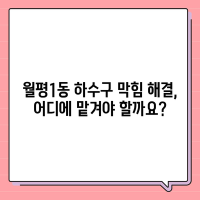 대전시 서구 월평1동 하수구막힘 | 가격 | 비용 | 기름제거 | 싱크대 | 변기 | 세면대 | 역류 | 냄새차단 | 2024 후기