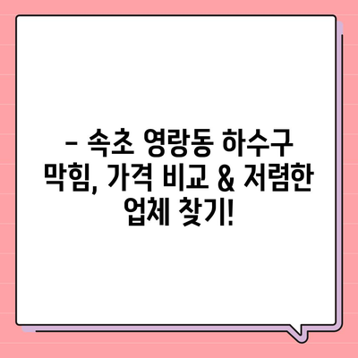 강원도 속초시 영랑동 하수구막힘 | 가격 | 비용 | 기름제거 | 싱크대 | 변기 | 세면대 | 역류 | 냄새차단 | 2024 후기