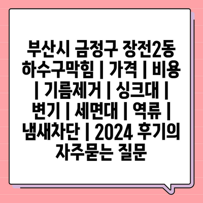 부산시 금정구 장전2동 하수구막힘 | 가격 | 비용 | 기름제거 | 싱크대 | 변기 | 세면대 | 역류 | 냄새차단 | 2024 후기