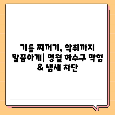 강원도 영월군 서면 하수구막힘 | 가격 | 비용 | 기름제거 | 싱크대 | 변기 | 세면대 | 역류 | 냄새차단 | 2024 후기