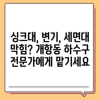 인천시 중구 개항동 하수구막힘 | 가격 | 비용 | 기름제거 | 싱크대 | 변기 | 세면대 | 역류 | 냄새차단 | 2024 후기