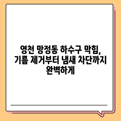 경상북도 영천시 망정동 하수구막힘 | 가격 | 비용 | 기름제거 | 싱크대 | 변기 | 세면대 | 역류 | 냄새차단 | 2024 후기