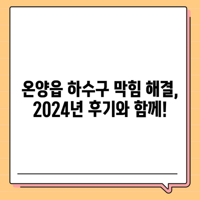 울산시 울주군 온양읍 하수구막힘 | 가격 | 비용 | 기름제거 | 싱크대 | 변기 | 세면대 | 역류 | 냄새차단 | 2024 후기