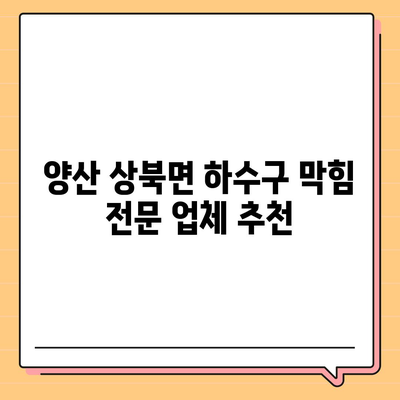 경상남도 양산시 상북면 하수구막힘 | 가격 | 비용 | 기름제거 | 싱크대 | 변기 | 세면대 | 역류 | 냄새차단 | 2024 후기