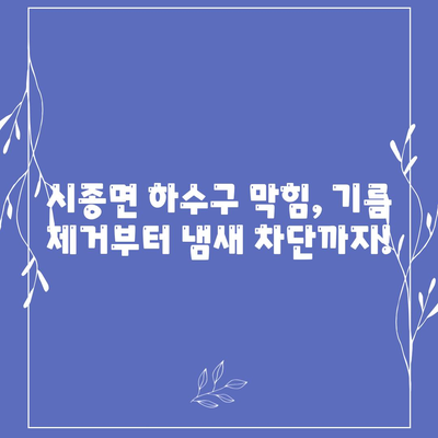 전라남도 영암군 시종면 하수구막힘 | 가격 | 비용 | 기름제거 | 싱크대 | 변기 | 세면대 | 역류 | 냄새차단 | 2024 후기