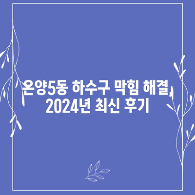 충청남도 아산시 온양5동 하수구막힘 | 가격 | 비용 | 기름제거 | 싱크대 | 변기 | 세면대 | 역류 | 냄새차단 | 2024 후기