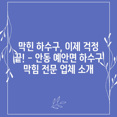 경상북도 안동시 예안면 하수구막힘 | 가격 | 비용 | 기름제거 | 싱크대 | 변기 | 세면대 | 역류 | 냄새차단 | 2024 후기