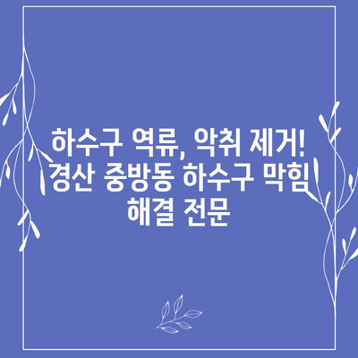 경상북도 경산시 중방동 하수구막힘 | 가격 | 비용 | 기름제거 | 싱크대 | 변기 | 세면대 | 역류 | 냄새차단 | 2024 후기