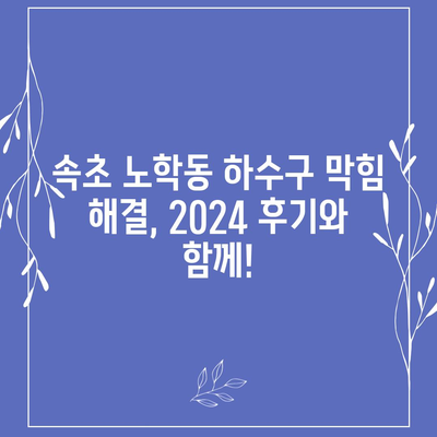 강원도 속초시 노학동 하수구막힘 | 가격 | 비용 | 기름제거 | 싱크대 | 변기 | 세면대 | 역류 | 냄새차단 | 2024 후기