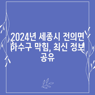 세종시 세종특별자치시 전의면 하수구막힘 | 가격 | 비용 | 기름제거 | 싱크대 | 변기 | 세면대 | 역류 | 냄새차단 | 2024 후기