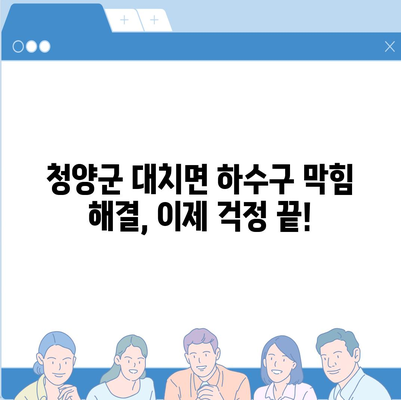 충청남도 청양군 대치면 하수구막힘 | 가격 | 비용 | 기름제거 | 싱크대 | 변기 | 세면대 | 역류 | 냄새차단 | 2024 후기