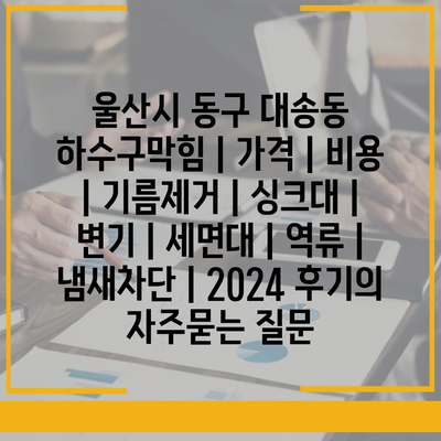 울산시 동구 대송동 하수구막힘 | 가격 | 비용 | 기름제거 | 싱크대 | 변기 | 세면대 | 역류 | 냄새차단 | 2024 후기