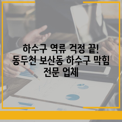 경기도 동두천시 보산동 하수구막힘 | 가격 | 비용 | 기름제거 | 싱크대 | 변기 | 세면대 | 역류 | 냄새차단 | 2024 후기