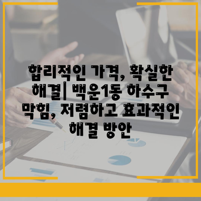 광주시 남구 백운1동 하수구막힘 | 가격 | 비용 | 기름제거 | 싱크대 | 변기 | 세면대 | 역류 | 냄새차단 | 2024 후기