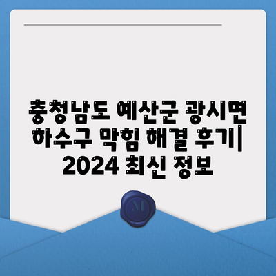 충청남도 예산군 광시면 하수구막힘 | 가격 | 비용 | 기름제거 | 싱크대 | 변기 | 세면대 | 역류 | 냄새차단 | 2024 후기