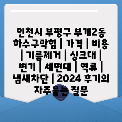 인천시 부평구 부개2동 하수구막힘 | 가격 | 비용 | 기름제거 | 싱크대 | 변기 | 세면대 | 역류 | 냄새차단 | 2024 후기