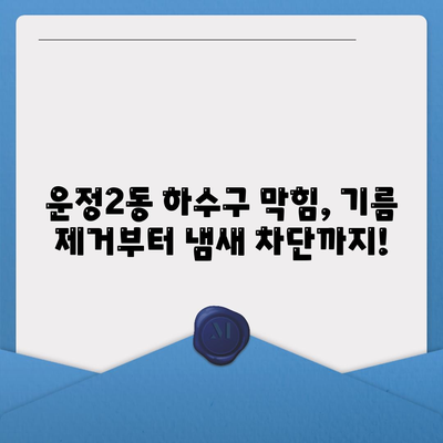 경기도 파주시 운정2동 하수구막힘 | 가격 | 비용 | 기름제거 | 싱크대 | 변기 | 세면대 | 역류 | 냄새차단 | 2024 후기