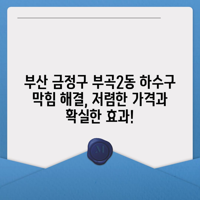 부산시 금정구 부곡2동 하수구막힘 | 가격 | 비용 | 기름제거 | 싱크대 | 변기 | 세면대 | 역류 | 냄새차단 | 2024 후기