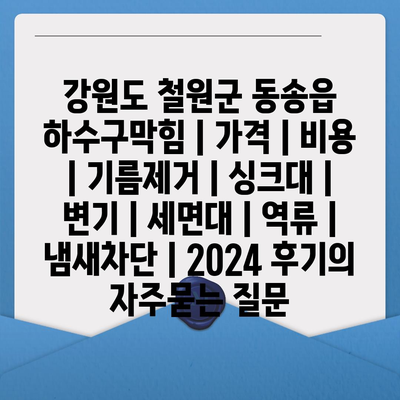 강원도 철원군 동송읍 하수구막힘 | 가격 | 비용 | 기름제거 | 싱크대 | 변기 | 세면대 | 역류 | 냄새차단 | 2024 후기