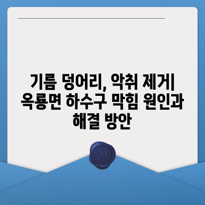 전라남도 광양시 옥룡면 하수구막힘 | 가격 | 비용 | 기름제거 | 싱크대 | 변기 | 세면대 | 역류 | 냄새차단 | 2024 후기