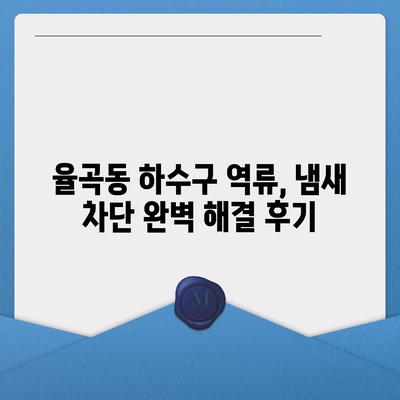 경상북도 김천시 율곡동 하수구막힘 | 가격 | 비용 | 기름제거 | 싱크대 | 변기 | 세면대 | 역류 | 냄새차단 | 2024 후기