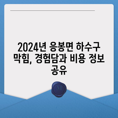 충청남도 예산군 응봉면 하수구막힘 | 가격 | 비용 | 기름제거 | 싱크대 | 변기 | 세면대 | 역류 | 냄새차단 | 2024 후기