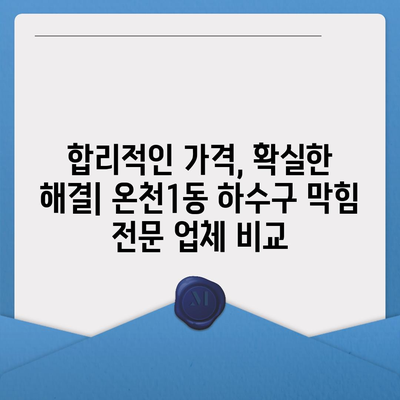 대전시 유성구 온천1동 하수구막힘 | 가격 | 비용 | 기름제거 | 싱크대 | 변기 | 세면대 | 역류 | 냄새차단 | 2024 후기