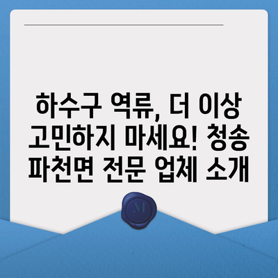 경상북도 청송군 파천면 하수구막힘 | 가격 | 비용 | 기름제거 | 싱크대 | 변기 | 세면대 | 역류 | 냄새차단 | 2024 후기