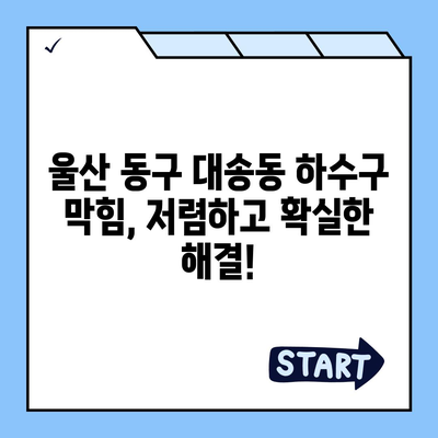 울산시 동구 대송동 하수구막힘 | 가격 | 비용 | 기름제거 | 싱크대 | 변기 | 세면대 | 역류 | 냄새차단 | 2024 후기