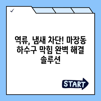 서울시 성동구 마장동 하수구막힘 | 가격 | 비용 | 기름제거 | 싱크대 | 변기 | 세면대 | 역류 | 냄새차단 | 2024 후기