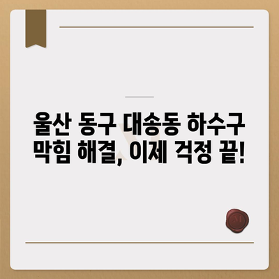 울산시 동구 대송동 하수구막힘 | 가격 | 비용 | 기름제거 | 싱크대 | 변기 | 세면대 | 역류 | 냄새차단 | 2024 후기