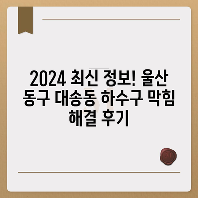 울산시 동구 대송동 하수구막힘 | 가격 | 비용 | 기름제거 | 싱크대 | 변기 | 세면대 | 역류 | 냄새차단 | 2024 후기