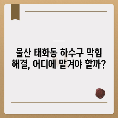 울산시 중구 태화동 하수구막힘 | 가격 | 비용 | 기름제거 | 싱크대 | 변기 | 세면대 | 역류 | 냄새차단 | 2024 후기