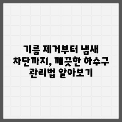 강원도 영월군 남면 하수구막힘 | 가격 | 비용 | 기름제거 | 싱크대 | 변기 | 세면대 | 역류 | 냄새차단 | 2024 후기