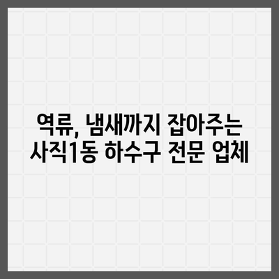 부산시 동래구 사직1동 하수구막힘 | 가격 | 비용 | 기름제거 | 싱크대 | 변기 | 세면대 | 역류 | 냄새차단 | 2024 후기