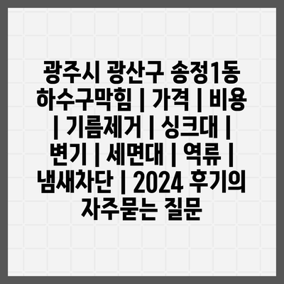 광주시 광산구 송정1동 하수구막힘 | 가격 | 비용 | 기름제거 | 싱크대 | 변기 | 세면대 | 역류 | 냄새차단 | 2024 후기