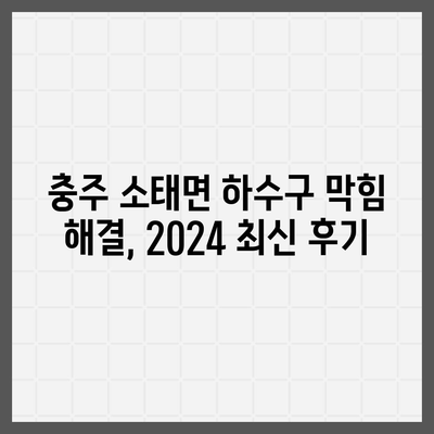 충청북도 충주시 소태면 하수구막힘 | 가격 | 비용 | 기름제거 | 싱크대 | 변기 | 세면대 | 역류 | 냄새차단 | 2024 후기