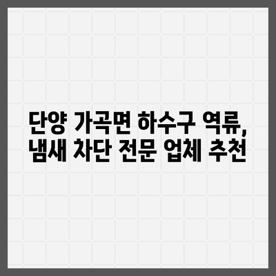 충청북도 단양군 가곡면 하수구막힘 | 가격 | 비용 | 기름제거 | 싱크대 | 변기 | 세면대 | 역류 | 냄새차단 | 2024 후기