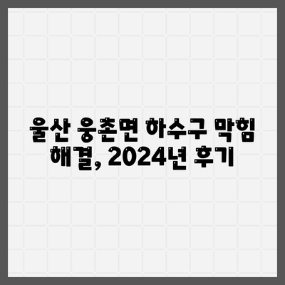 울산시 울주군 웅촌면 하수구막힘 | 가격 | 비용 | 기름제거 | 싱크대 | 변기 | 세면대 | 역류 | 냄새차단 | 2024 후기