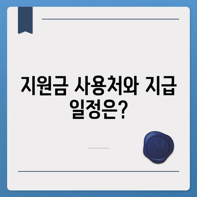 대전시 서구 만년동 민생회복지원금 | 신청 | 신청방법 | 대상 | 지급일 | 사용처 | 전국민 | 이재명 | 2024