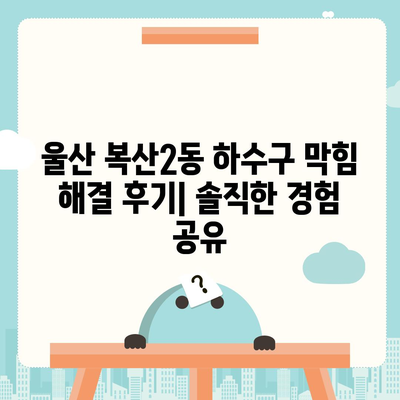 울산시 중구 복산2동 하수구막힘 | 가격 | 비용 | 기름제거 | 싱크대 | 변기 | 세면대 | 역류 | 냄새차단 | 2024 후기