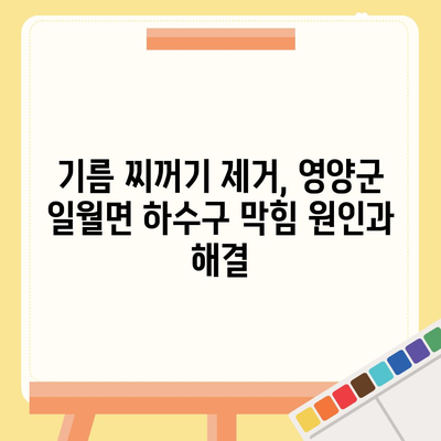 경상북도 영양군 일월면 하수구막힘 | 가격 | 비용 | 기름제거 | 싱크대 | 변기 | 세면대 | 역류 | 냄새차단 | 2024 후기