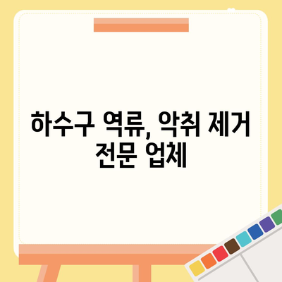 광주시 북구 운암3동 하수구막힘 | 가격 | 비용 | 기름제거 | 싱크대 | 변기 | 세면대 | 역류 | 냄새차단 | 2024 후기