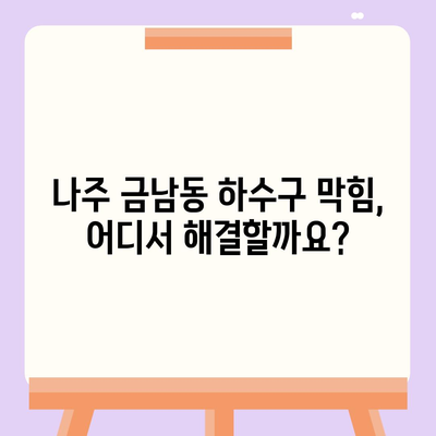 전라남도 나주시 금남동 하수구막힘 | 가격 | 비용 | 기름제거 | 싱크대 | 변기 | 세면대 | 역류 | 냄새차단 | 2024 후기